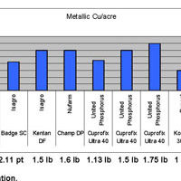 CS 2005 vs Competitors