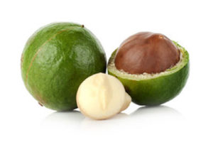 Macadamia