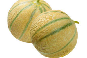 Muskmelon