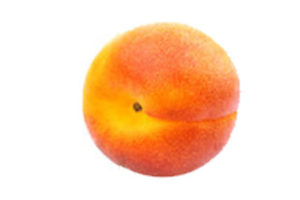 Apricot