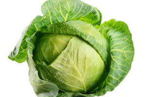 Cabbage