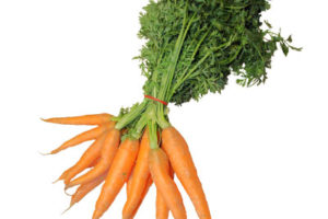 Carrot