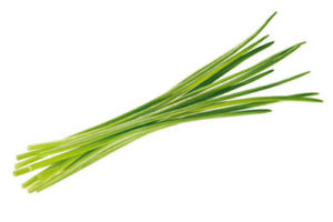 Chives