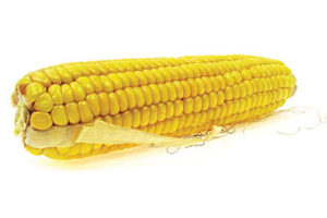 Corn