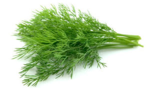 Dill