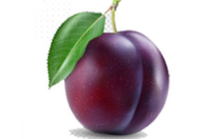 Plum