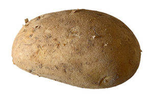 Potato