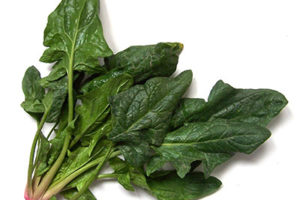 Spinach