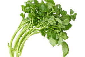 Watercress