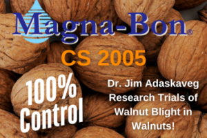 A Powerful Combination for Controlling Walnut Blight!