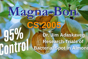 Dr. Adaskaveg Research Confirms Controls Bacterial Spot!