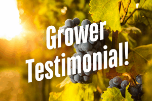 Grape Grower Finds Success Controlling Powdery Mildew!