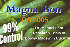 Magna-Bon Controls Downy Mildew in Research Trials