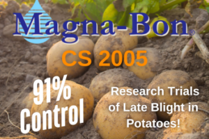 Magna-Bon CS 2005: The Ultimate Solution for Potato Disease Control