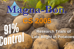 Magna-Bon CS 2005: The Ultimate Solution for Potato Disease Control