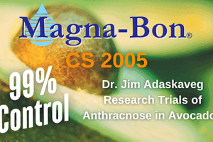 Proven Protection Against Avocado Anthracnose