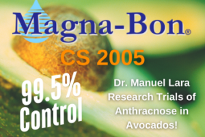 Proven Protection Against Avocado Anthracnose