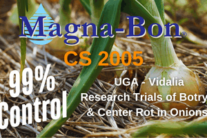 CS 2005 Controls Botrytis & Center Rot – UGA Research