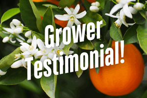 Growers See Clean, Reliable Results with CS 2005