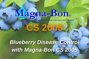 Blueberry Disease Control with Magna-Bon CS 2005