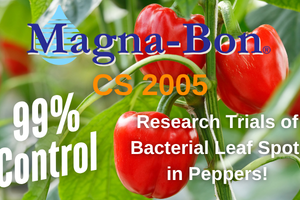 Control Bacterial Spot in Peppers with Magna-Bon CS 2005